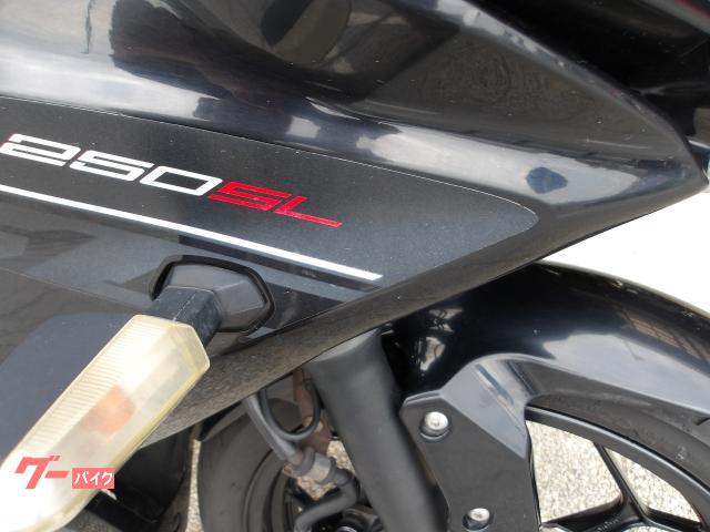 カワサキ Ｎｉｎｊａ　２５０ＳＬ　２０１６年モデル　純正スペアキー　インジェクション　水冷単筒エンジン搭載 写真14