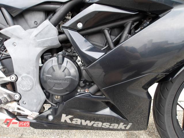 カワサキ Ｎｉｎｊａ　２５０ＳＬ　２０１６年モデル　純正スペアキー　インジェクション　水冷単筒エンジン搭載 写真18