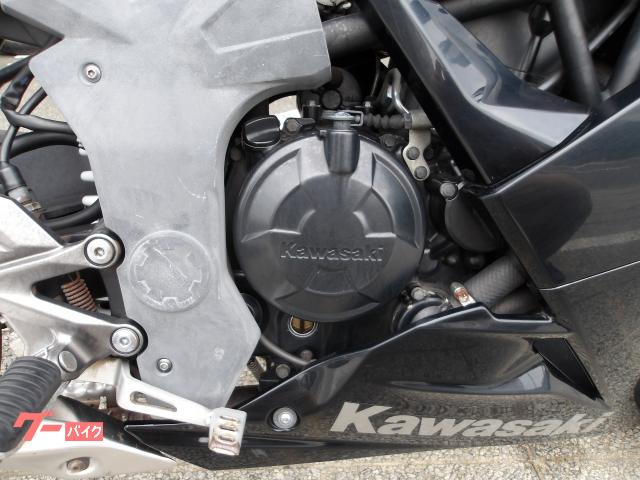 カワサキ Ｎｉｎｊａ　２５０ＳＬ　２０１６年モデル　純正スペアキー　インジェクション　水冷単筒エンジン搭載 写真19