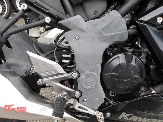 カワサキ Ｎｉｎｊａ　２５０ＳＬ　２０１６年モデル　純正スペアキー　インジェクション　水冷単筒エンジン搭載 写真20