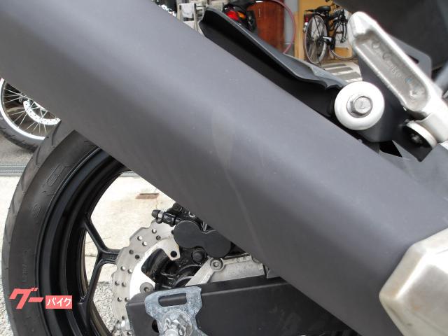 カワサキ Ｎｉｎｊａ　２５０ＳＬ　２０１６年モデル　純正スペアキー　インジェクション　水冷単筒エンジン搭載 写真24