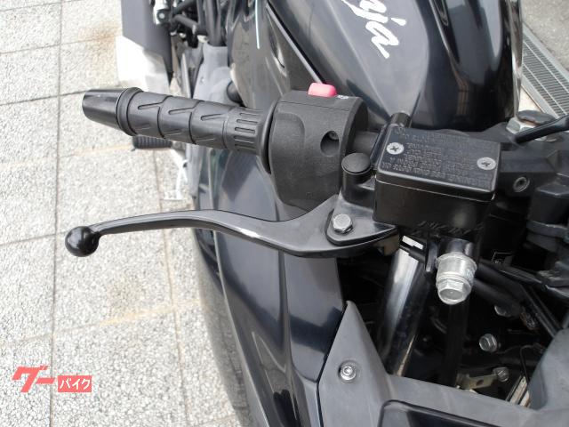 カワサキ Ｎｉｎｊａ　２５０ＳＬ　２０１６年モデル　純正スペアキー　インジェクション　水冷単筒エンジン搭載 写真28