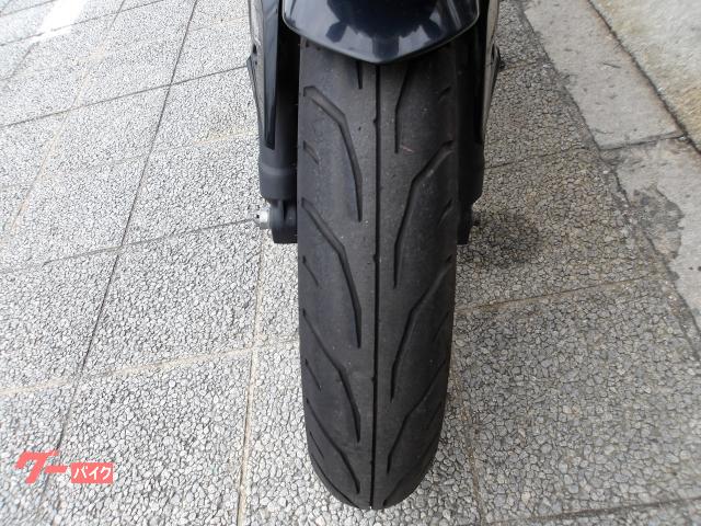カワサキ Ｎｉｎｊａ　２５０ＳＬ　２０１６年モデル　純正スペアキー　インジェクション　水冷単筒エンジン搭載 写真36