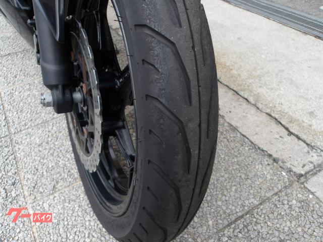 カワサキ Ｎｉｎｊａ　２５０ＳＬ　２０１６年モデル　純正スペアキー　インジェクション　水冷単筒エンジン搭載 写真37