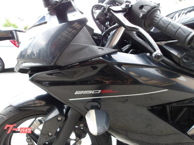 カワサキ Ｎｉｎｊａ　２５０ＳＬ　２０１６年モデル　純正スペアキー　インジェクション　水冷単筒エンジン搭載 写真44